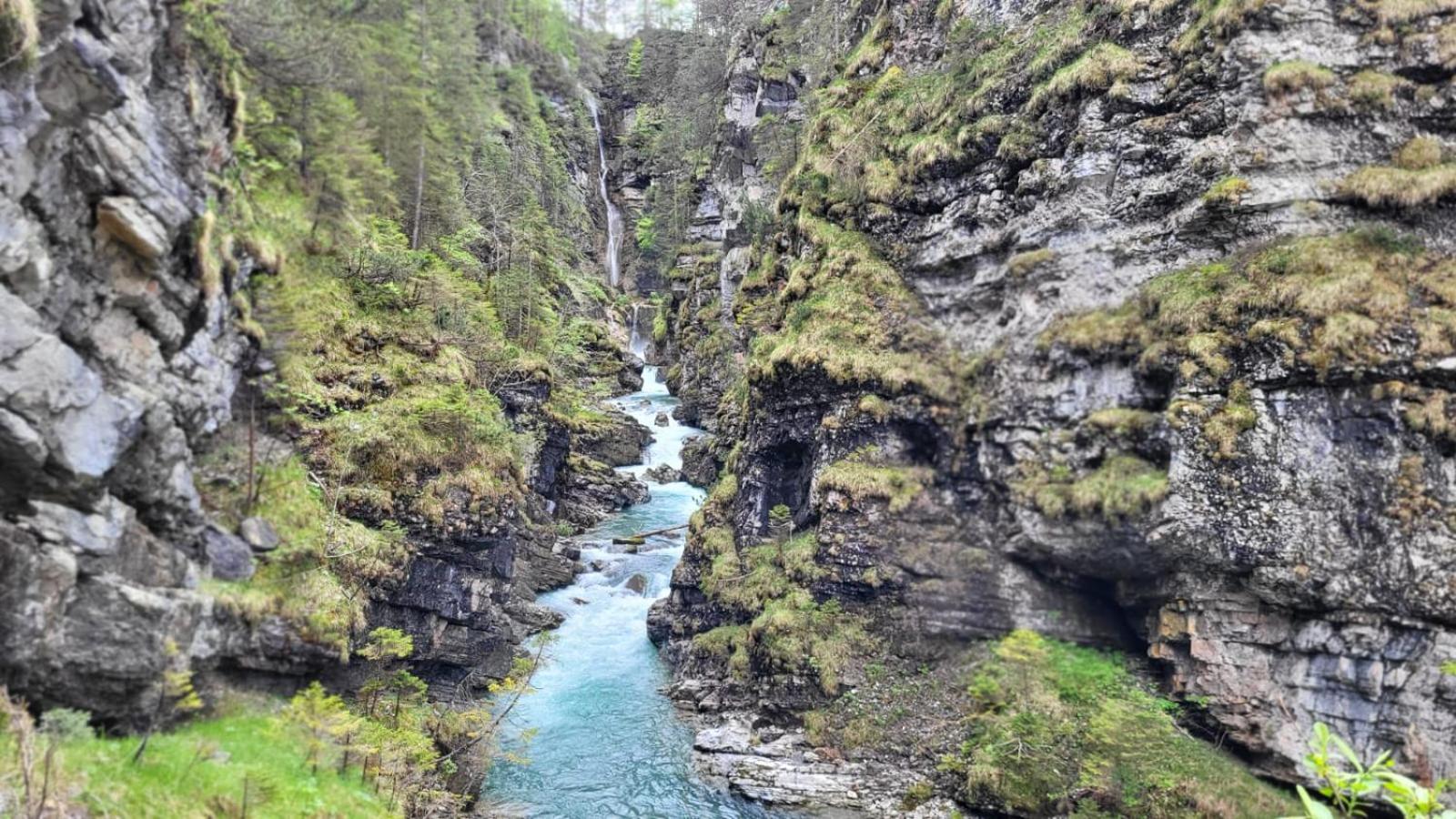 Almtraum Berwang Daire Dış mekan fotoğraf