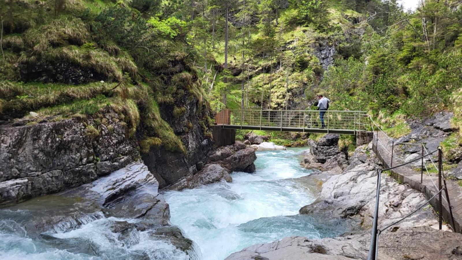 Almtraum Berwang Daire Dış mekan fotoğraf