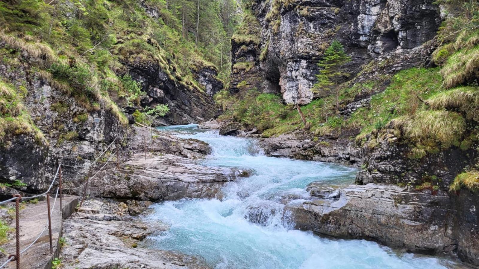 Almtraum Berwang Daire Dış mekan fotoğraf