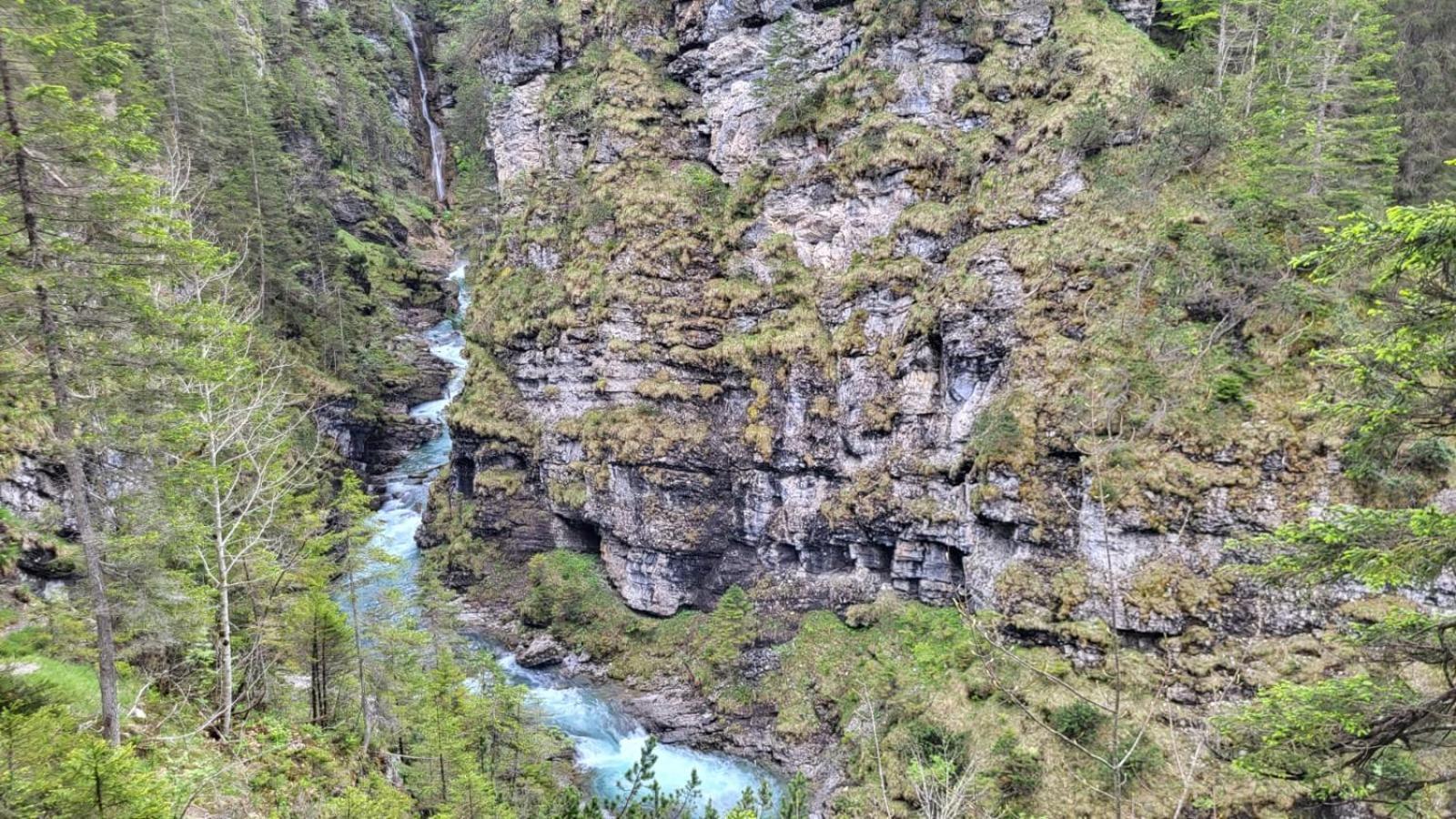 Almtraum Berwang Daire Dış mekan fotoğraf